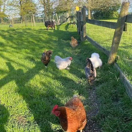 Gite A La Ferme Proche De Lille Διαμέρισμα Houplines