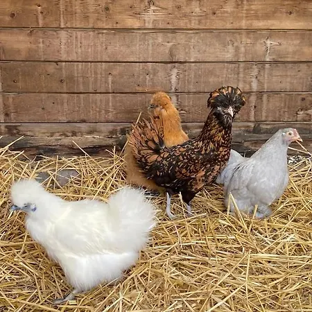 Διαμέρισμα Gite A La Ferme Proche De Lille