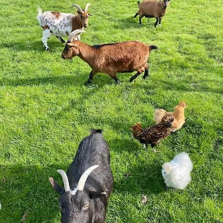 Διαμέρισμα Gite A La Ferme Proche De Lille *