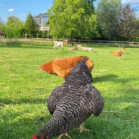 Gite A La Ferme Proche De Lille * Houplines